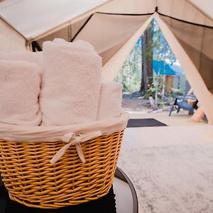 Cedar Haven Cabins And Resort